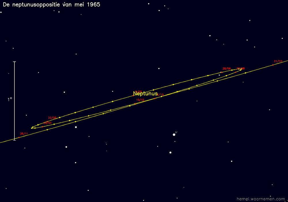Oppositiekaart voor Neptunus